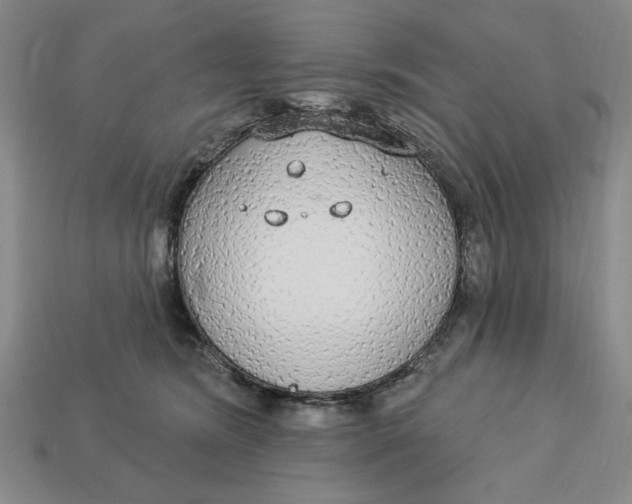 X0000112910420200909141255