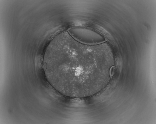 X0000112910421200909141255