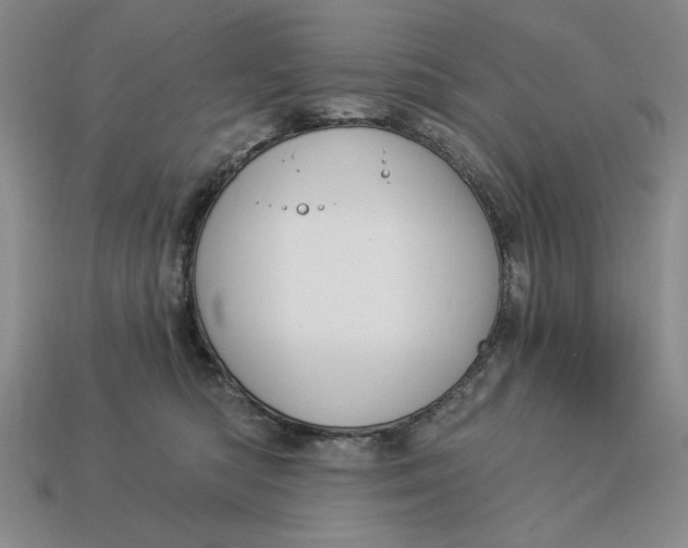 X0000112910422200909141255