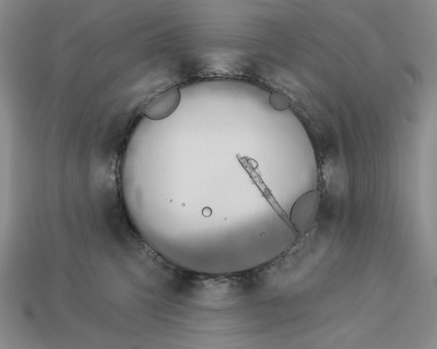 X0000112910423200909141255