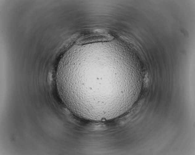 X0000112910424200909141255