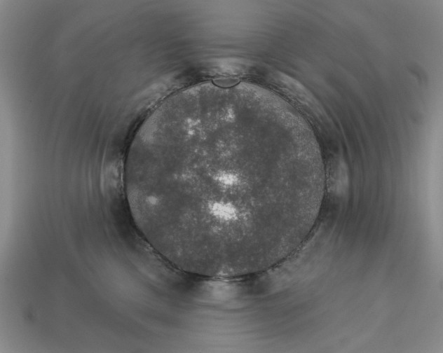 X0000112910425200909141255