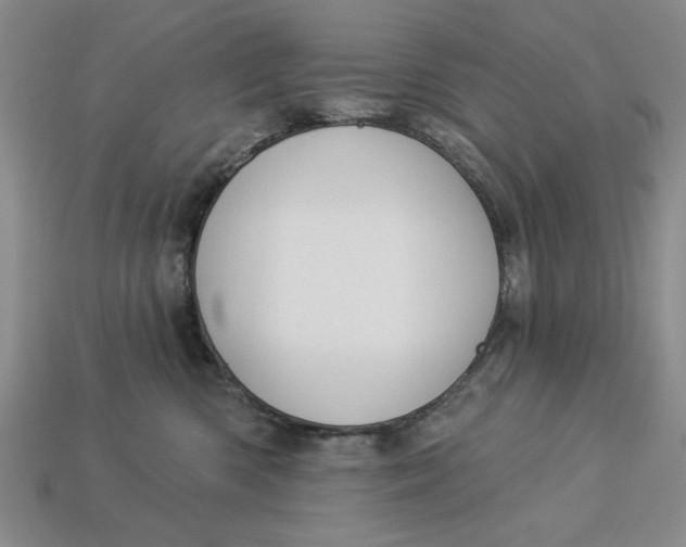 X0000112910426200909141255