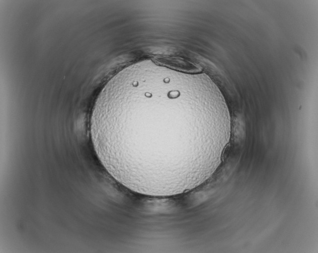 X0000112910428200909141255