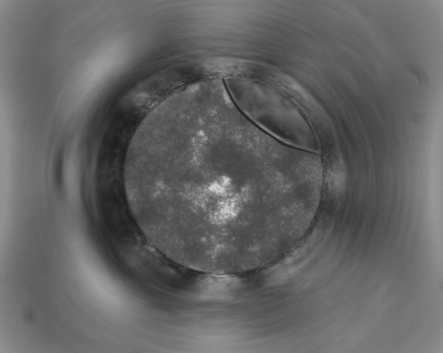 X0000112910429200909141255