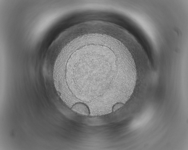 X0000112910431200909141255