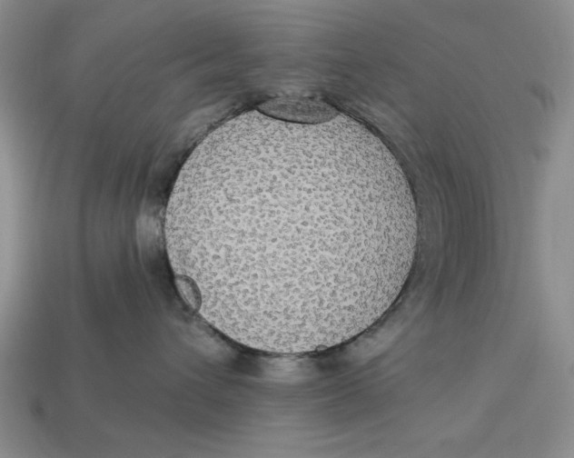 X0000112910432200909141255