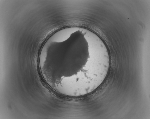 X0000112910434200909141254