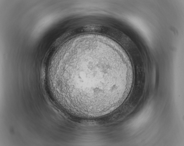 X0000112910435200909141254