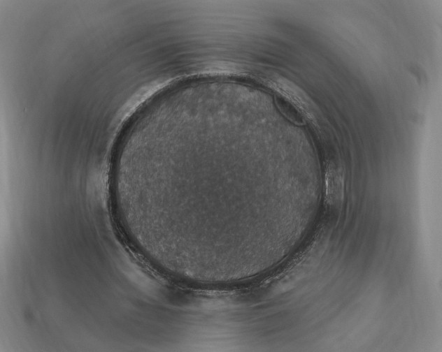 X0000112910436200909141254