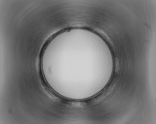 X0000112910439200909141254