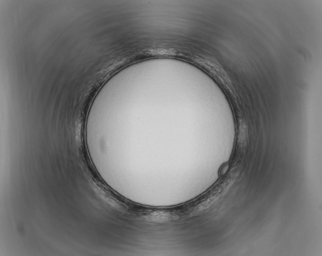 X0000112910441200909141254