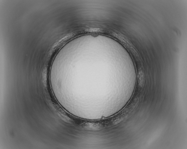 X0000112910442200909141254