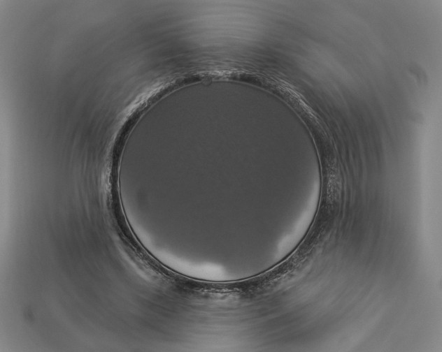 X0000112910443200909141254