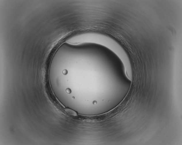 X0000112910444200909141254