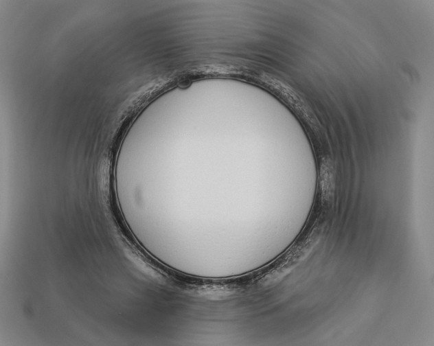 X0000112910445200909141254