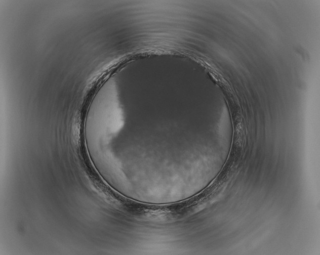 X0000112910446200909141254