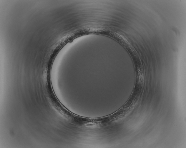 X0000112910447200909141254