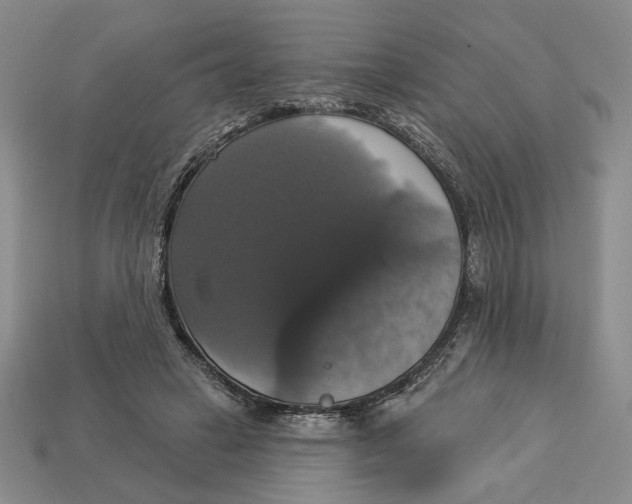 X0000112910449200909141254