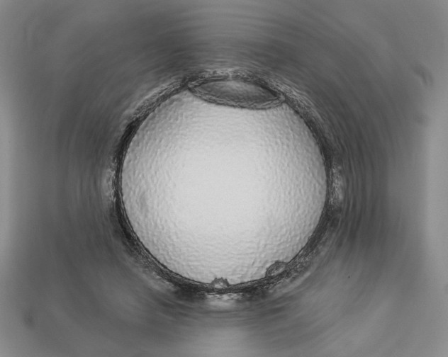 X0000112910450200909141254