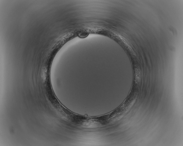 X0000112910451200909141254