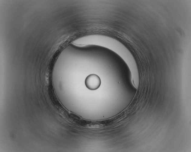 X0000112910452200909141254