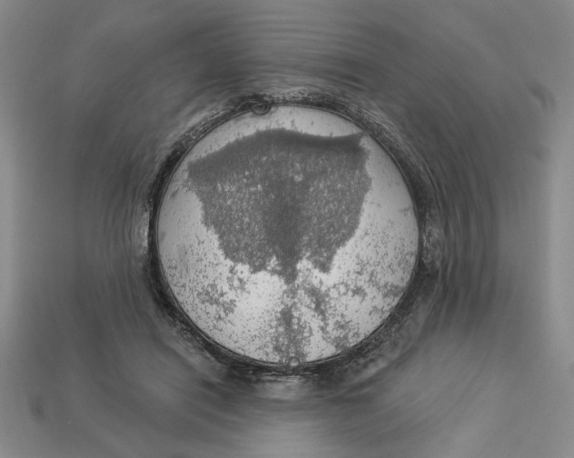 X0000112910454200909141254