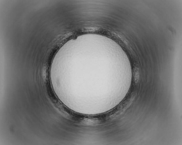 X0000112910455200909141254