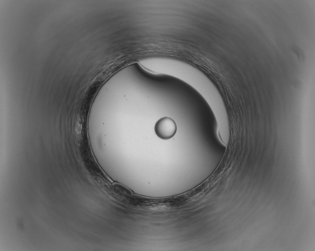 X0000112910456200909141255