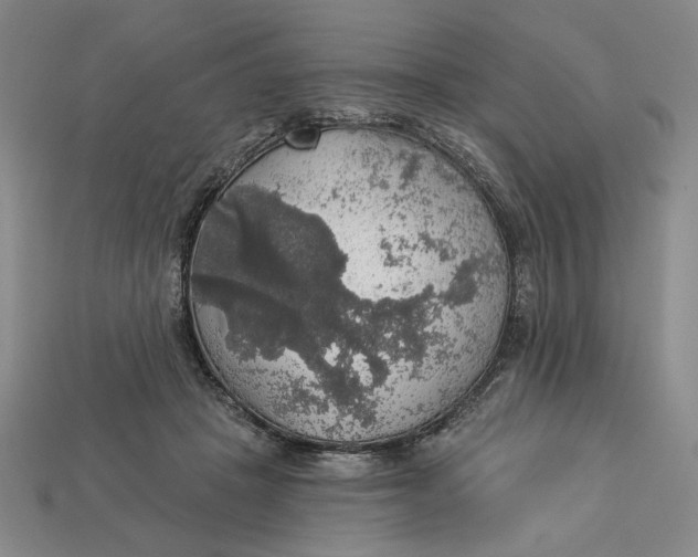 X0000112910457200909141255