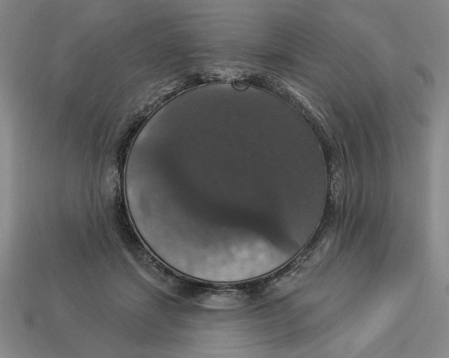 X0000112910459200909141255