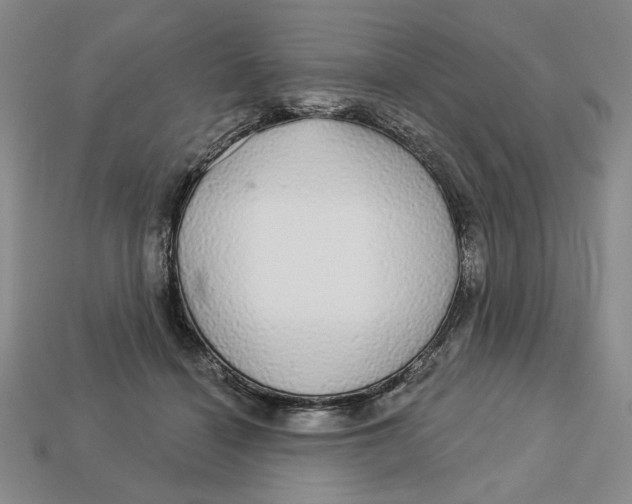 X0000112910460200909141255