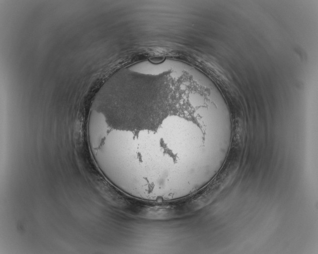 X0000112910461200909141255