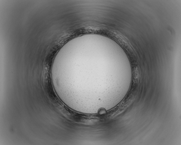 X0000112910463200909141255