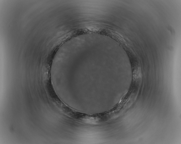 X0000112910464200909141255