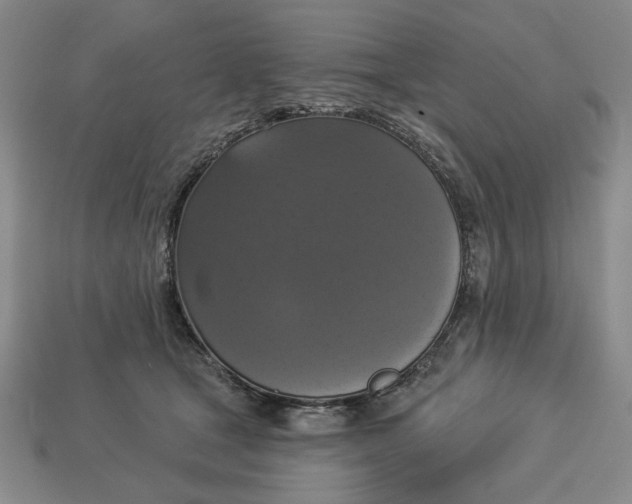 X0000112910465200909141255