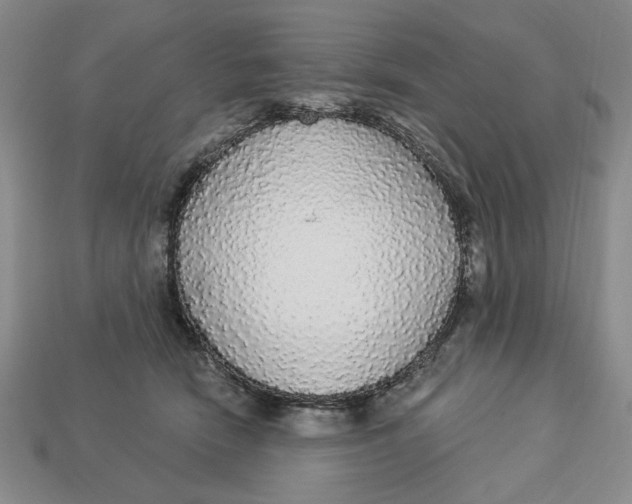 X0000112910466200909141255