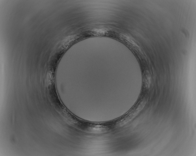 X0000112910467200909141255