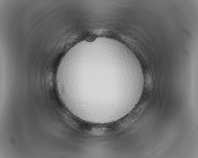 X0000112910470200909141255