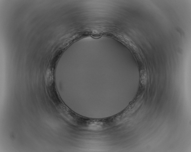 X0000112910471200909141255