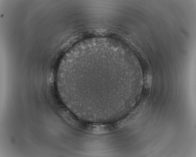 X0000112910472200909141255