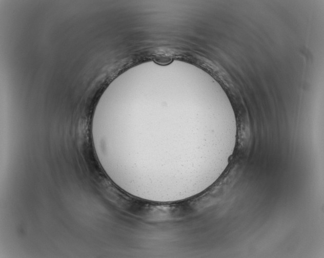 X0000112910473200909141255