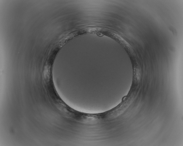 X0000112910475200909141255