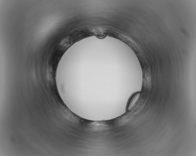 X0000112910477200909141255