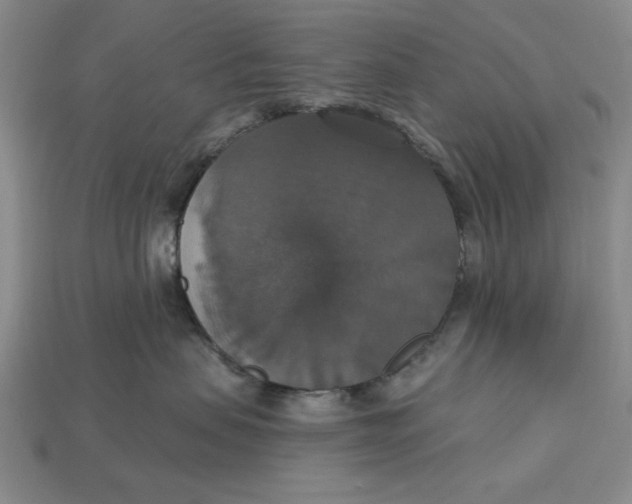 X0000112910479200909141255