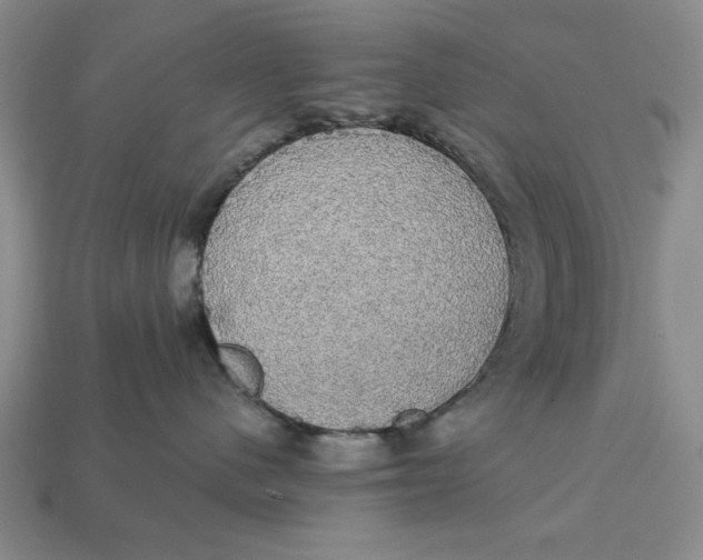 X0000112910480200909141255