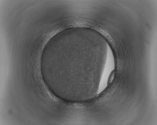 X0000112910481200909141254