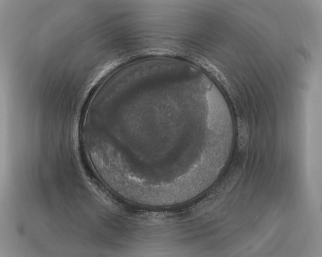 X0000112910482200909141254