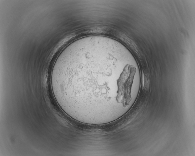 X0000112910483200909141254