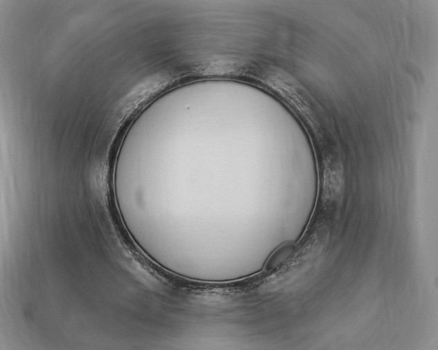 X0000112910485200909141254